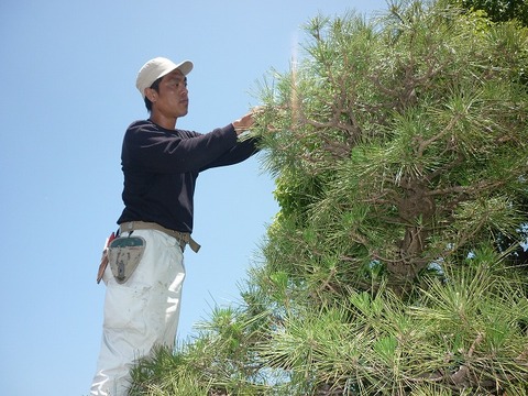 株式会社 樹楽園 堺市美原区 『造園スタッフ』『土木工事』『植木職』※ご経験者はもちろん未経験の方でも、ご経験に合わせて スキルアップ頂ける環境です。求人情報の入社時に必要なもの画像