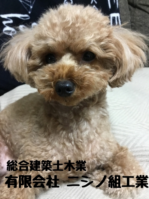 有限会社ニシノ組工業の求人情報
