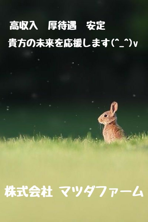 株式会社マツダファーム 福島区 タイル、ブロック工事 鍛治工 内装仕上げ等求人情報のメイン画像