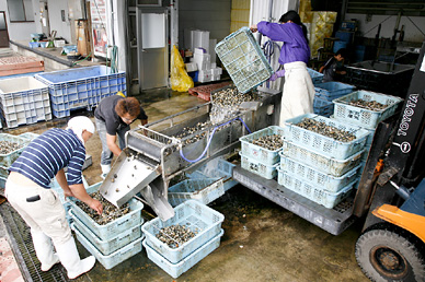 株式会社 丸光水産 調理師求人情報のメイン画像